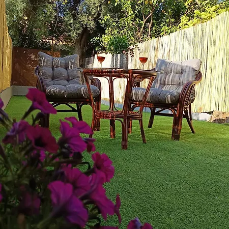 Paeonia Lefkada City